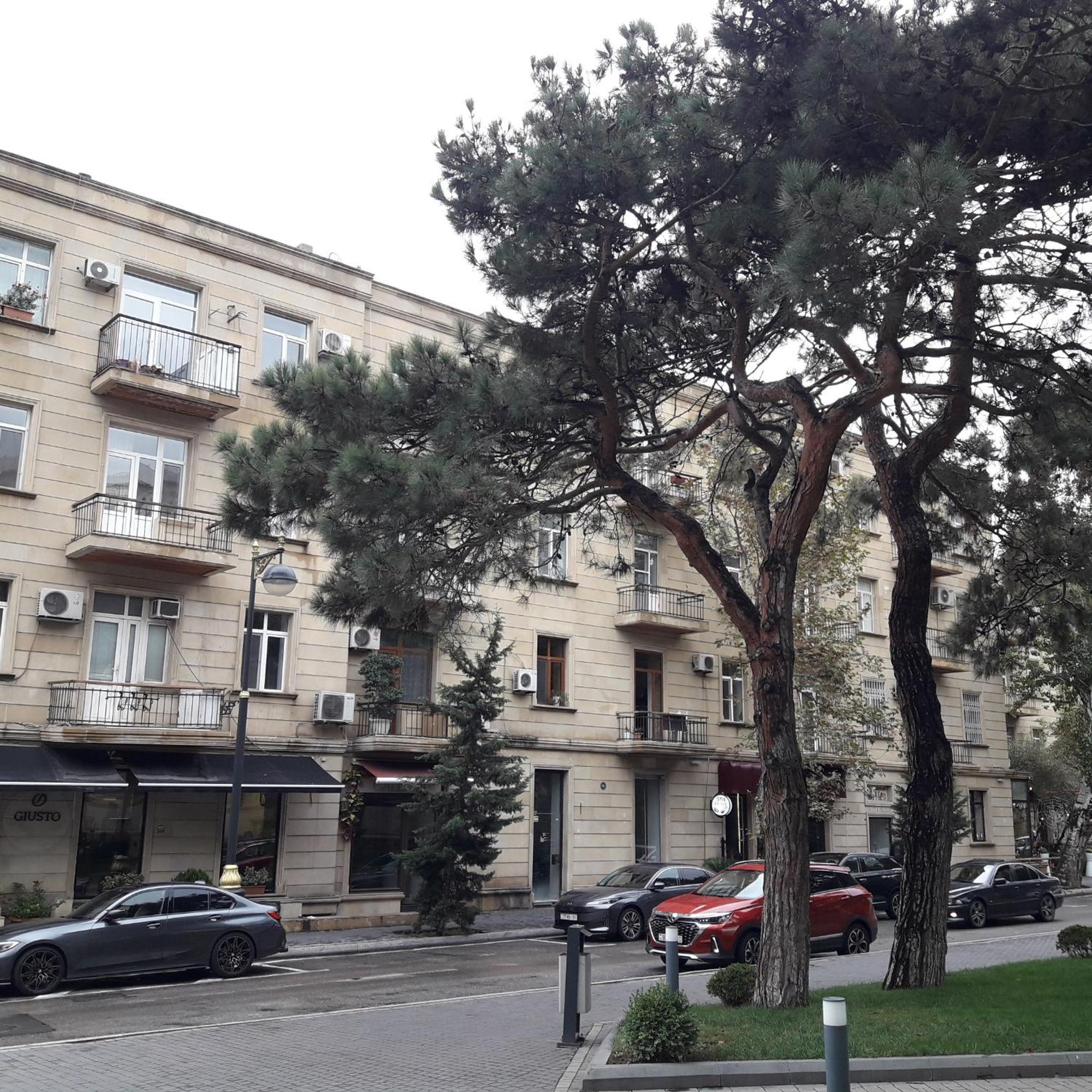 Apartment Niyazi 5 Baku Exteriér fotografie